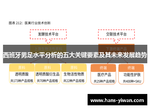 西班牙男足水平分析的五大关键要素及其未来发展趋势