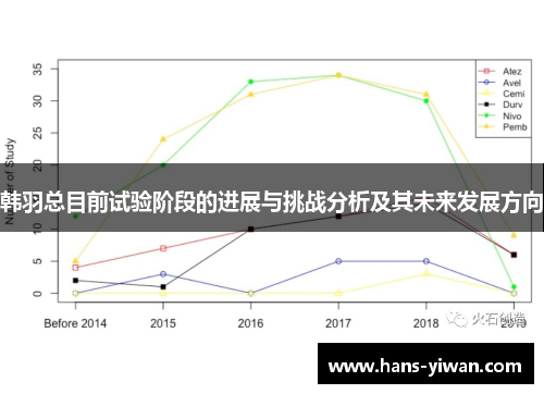 韩羽总目前试验阶段的进展与挑战分析及其未来发展方向